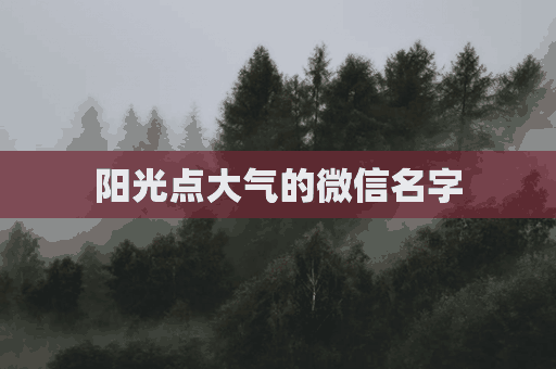 阳光点大气的微信名字(阳光大气微信名字大全)